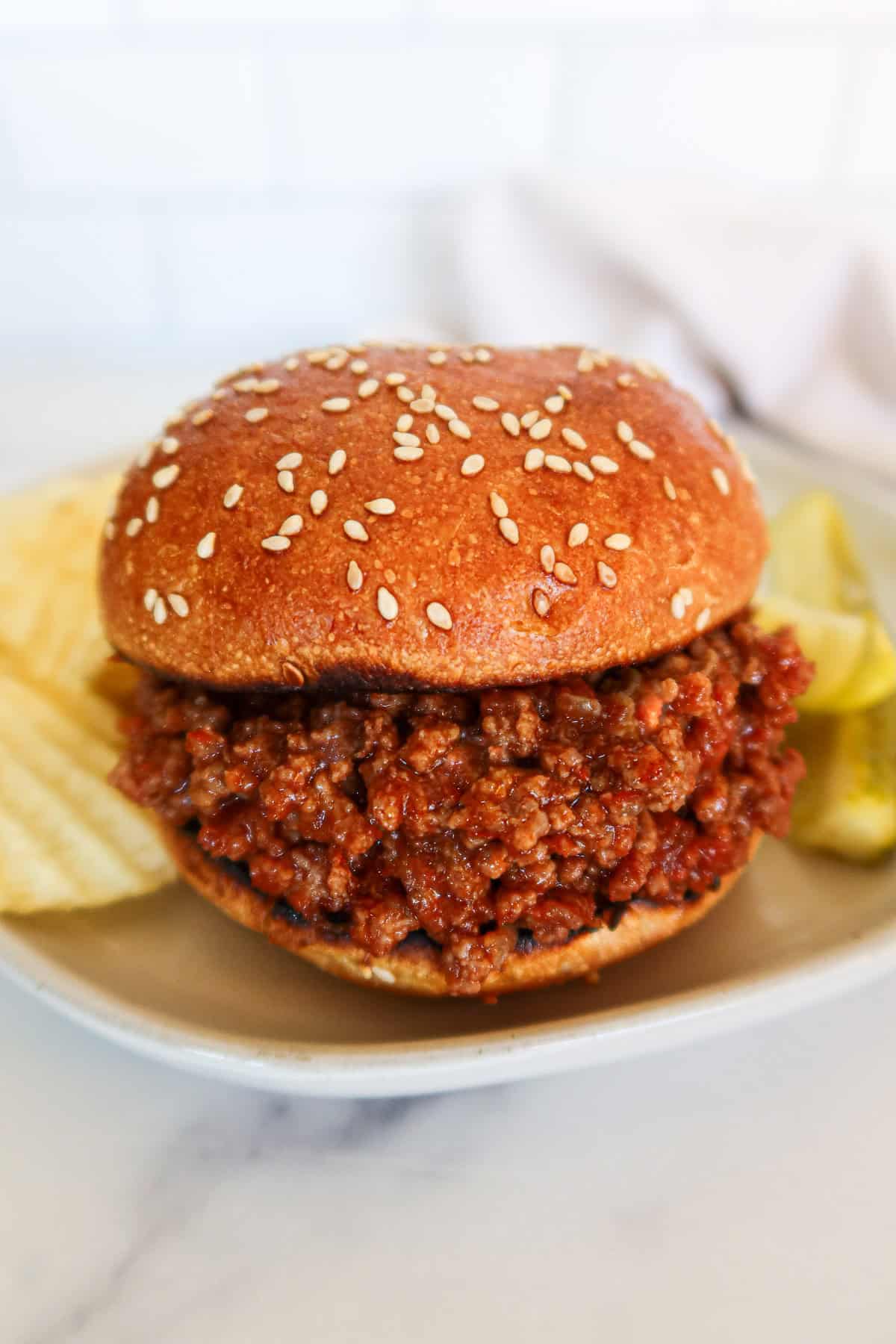 Sloppy joe close up.