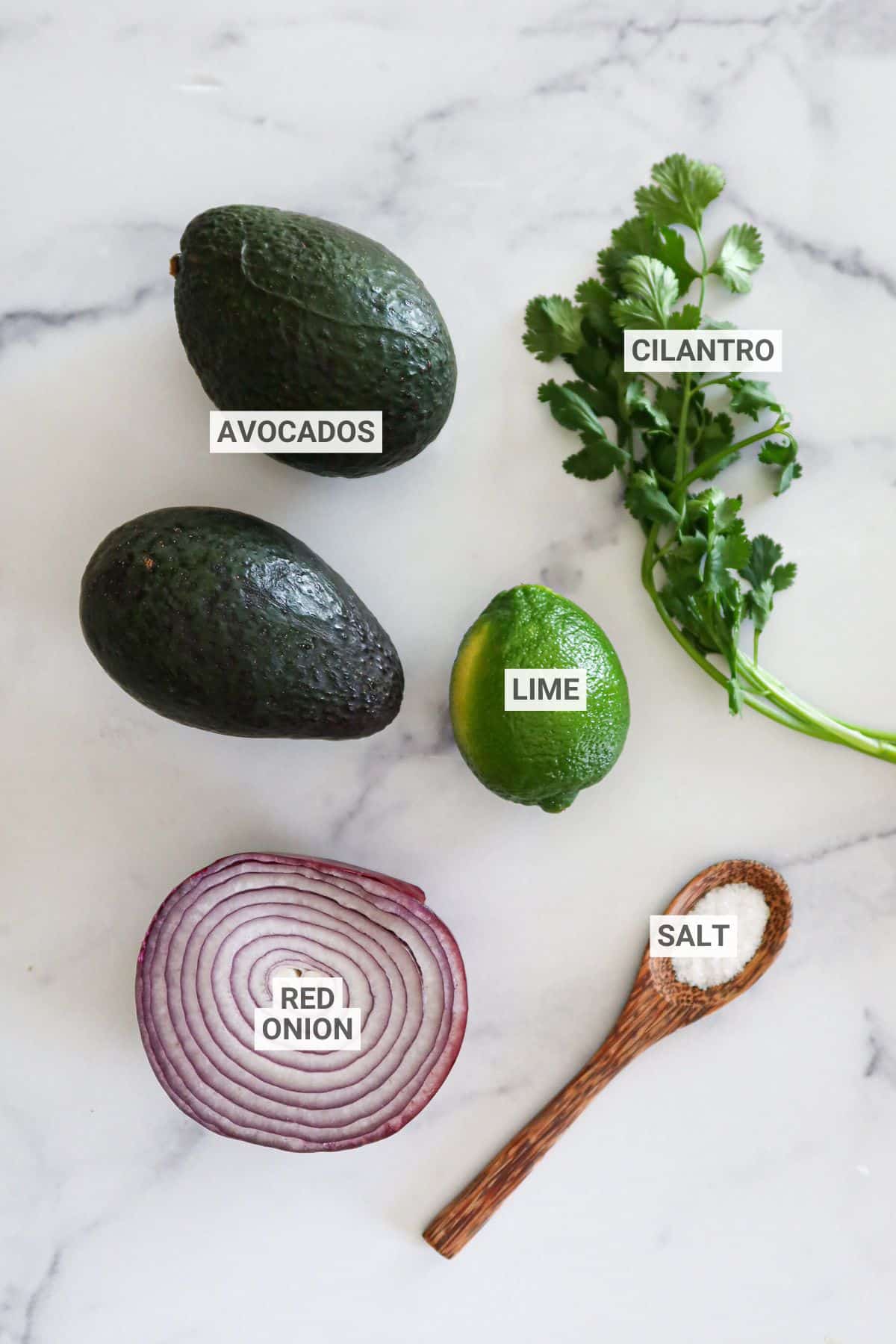 Guacamole ingredients with text overlay labels.